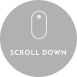 scroll_button_icon
